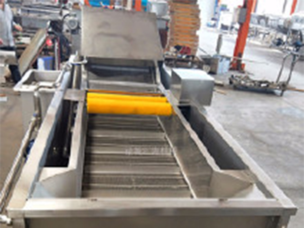 草莓清洗機(jī)、瓜果蔬菜氣泡清洗機(jī)